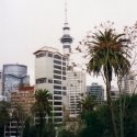 001auckland.jpg