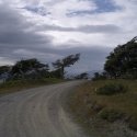 IMGP1007.jpg