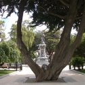 IMGP0796.jpg